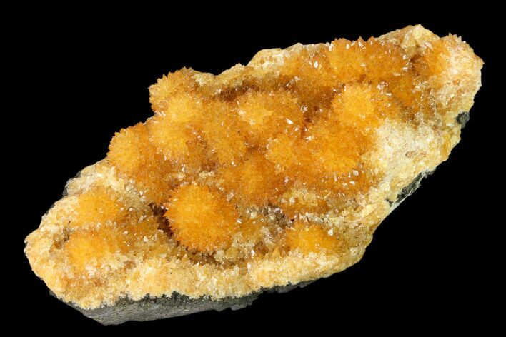 Intense Orange Calcite Crystal Cluster - Poland #148355